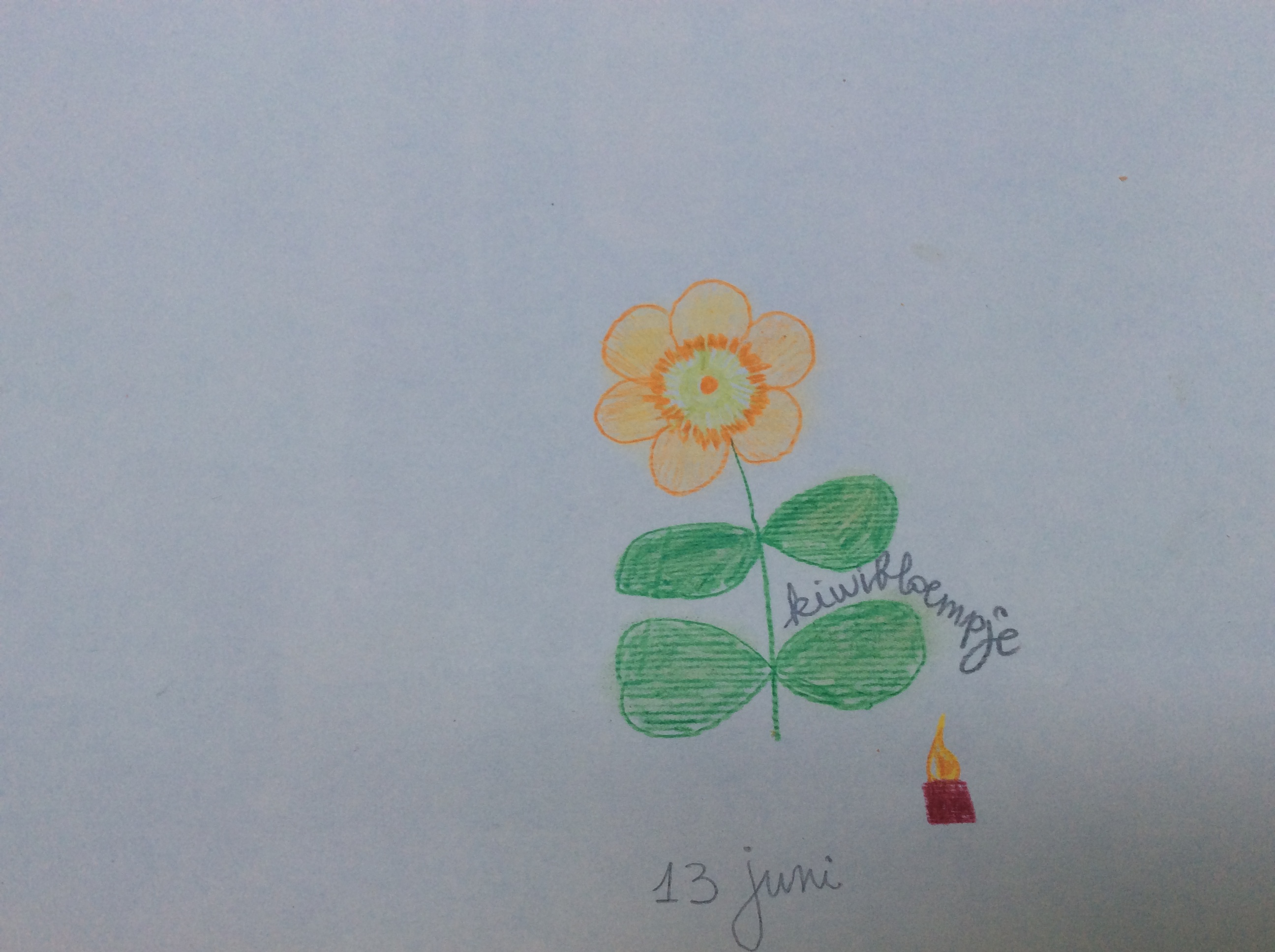 bloem